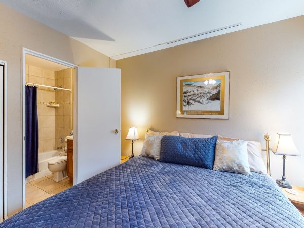 Vail Lionshead Home 1022597