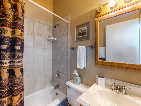 Vail Lionshead Home 1022597
