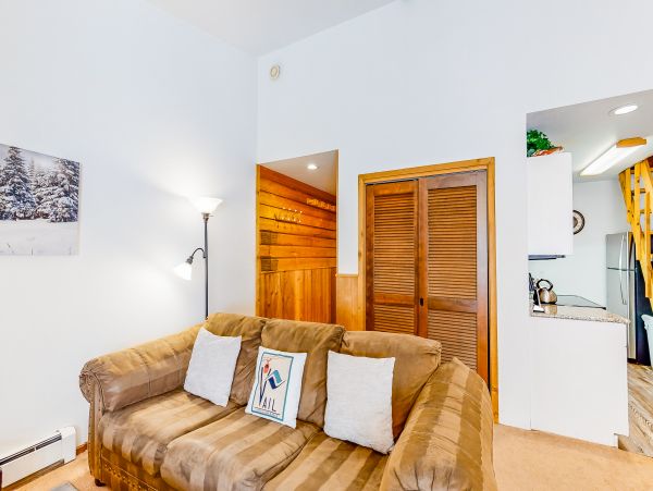 Vail Lionshead Home 1022600