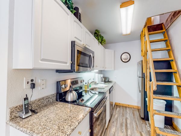 Vail Lionshead Home 1022600