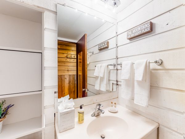 Vail Lionshead Home 1022600