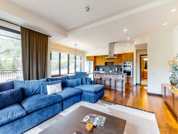Vail Lionshead Home 1022601
