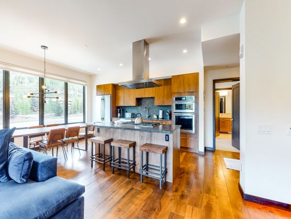 Vail Lionshead Home 1022601