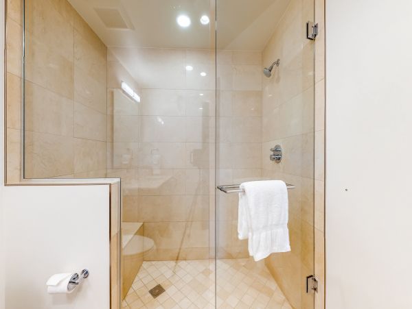 Vail Lionshead Home 1022601