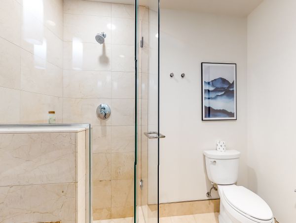 Vail Lionshead Home 1022601