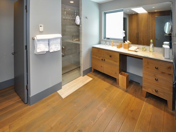 Vail Lionshead Home 1022603