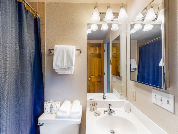 Vail Lionshead Home 1022604