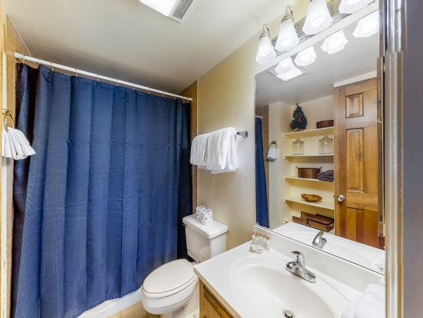Vail Lionshead Home 1022604