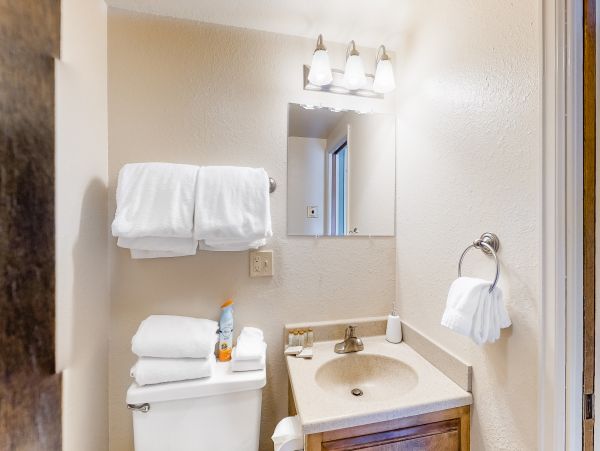 Vail Lionshead Home 1022604