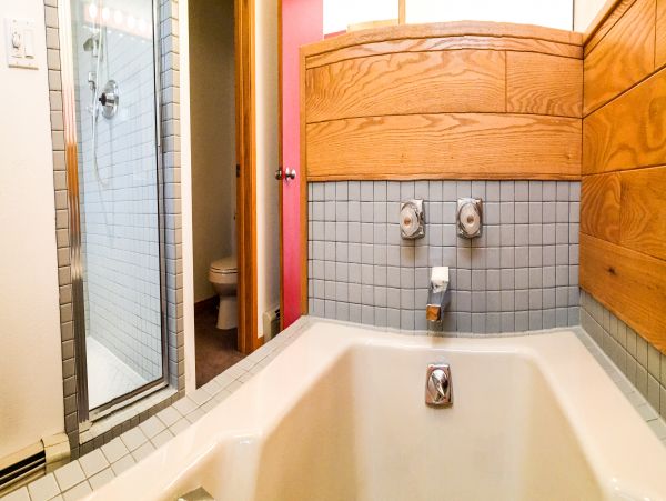 Vail Lionshead Home 1022606