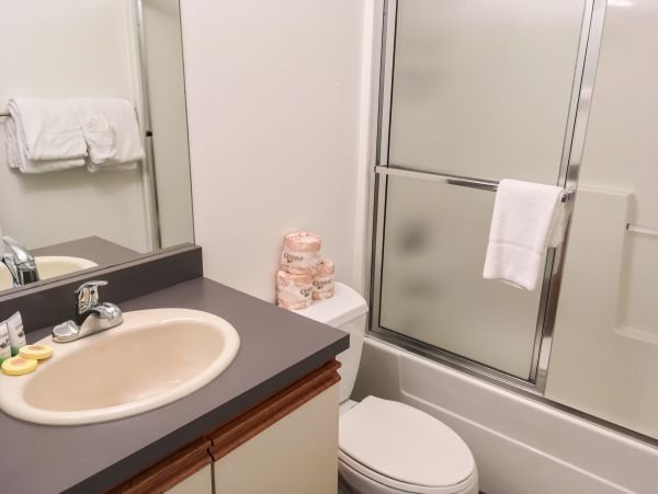 Vail Lionshead Home 1022606