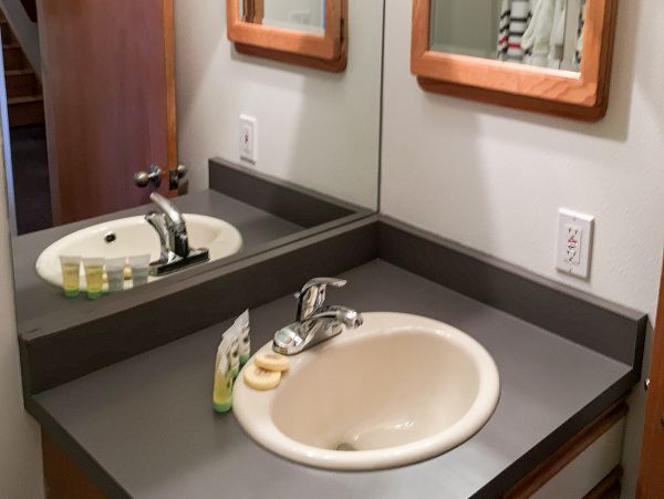 Vail Lionshead Home 1022606