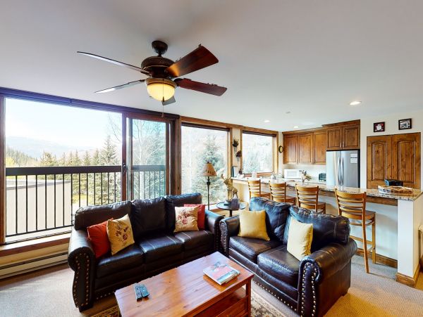 Vail Lionshead Home 1022611