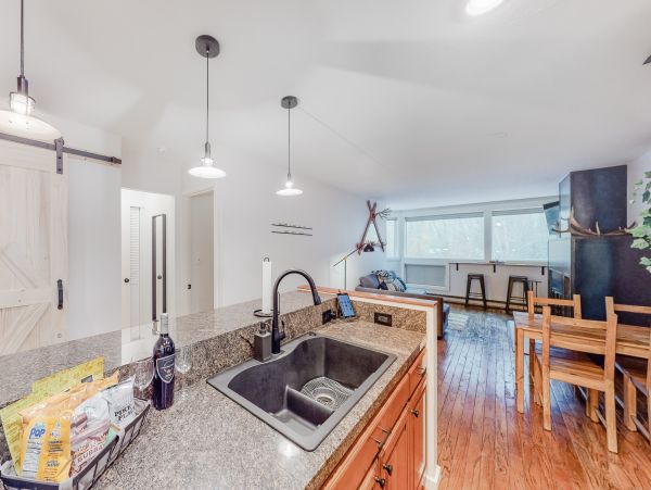 Vail Lionshead Home 1022614