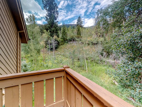 Vail Lionshead Home 1022618