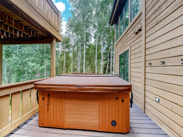 Vail Lionshead Home 1022618