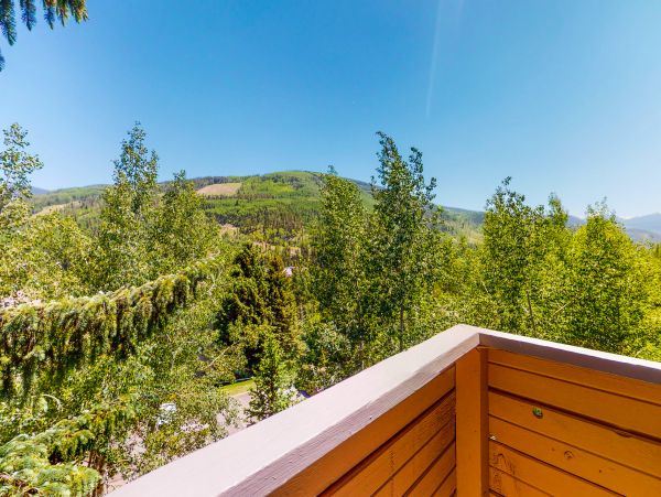 Vail Lionshead Home 1022619