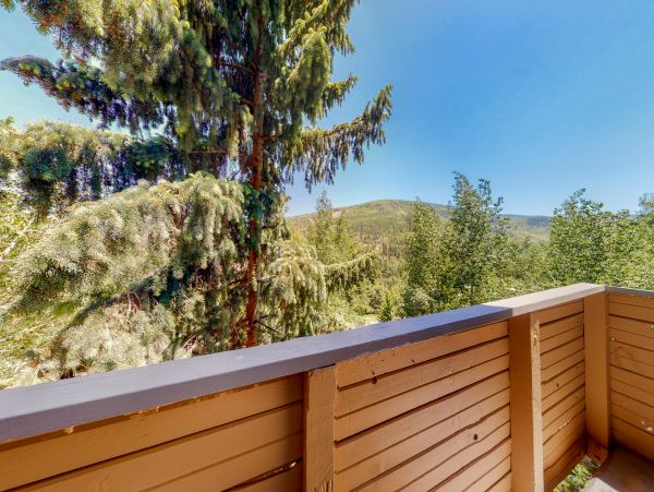 Vail Lionshead Home 1022619
