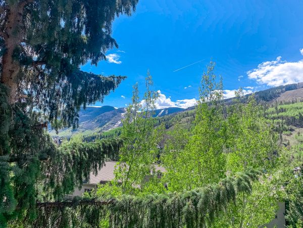 Vail Lionshead Home 1022619