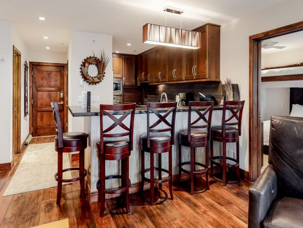 Vail Lionshead Home 1022620