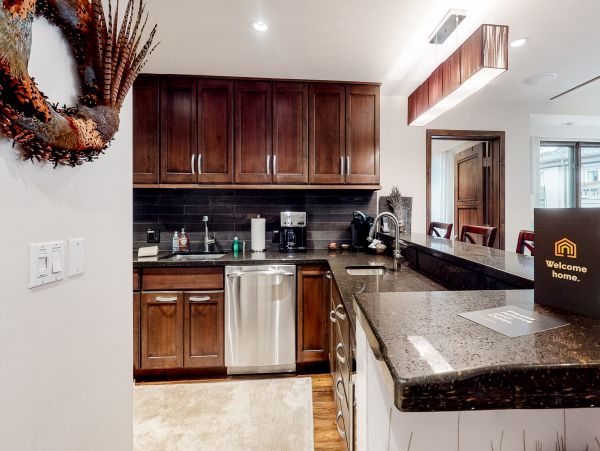 Vail Lionshead Home 1022620