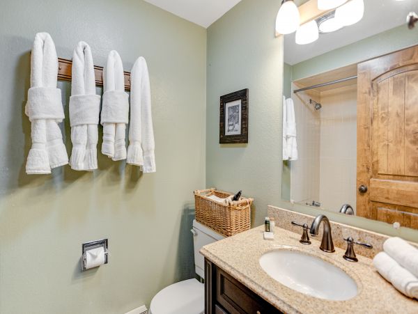 Vail Lionshead Home 1022624