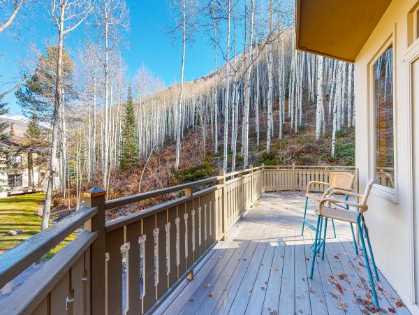 Vail Lionshead Home 1022629