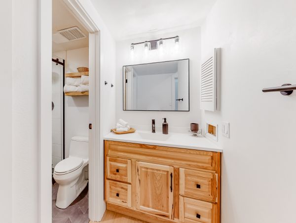Vail Lionshead Home 1022631