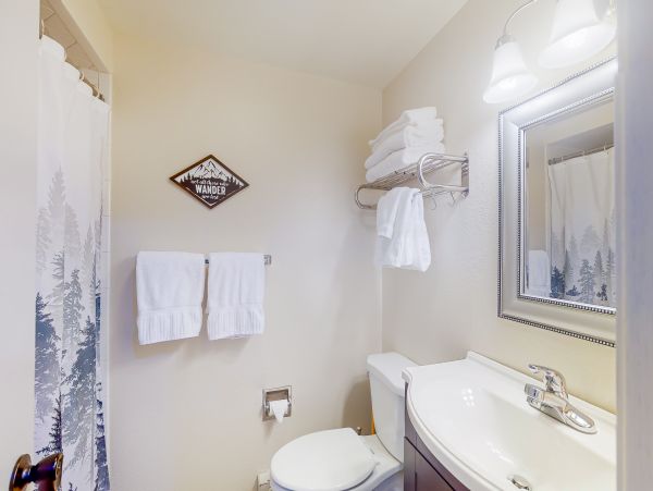 Vail Lionshead Home 1022632