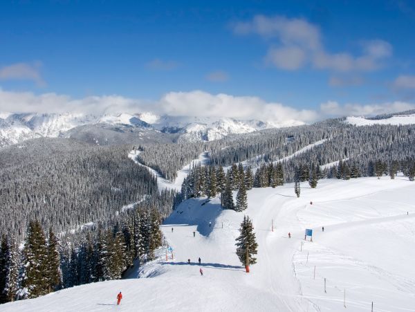 One block to East Vail shuttle