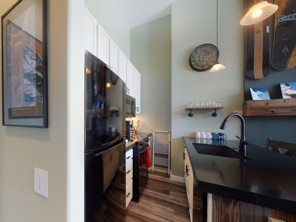 Vail Lionshead Home 1022635