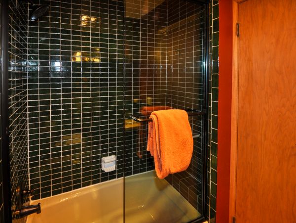 Vail Lionshead Home 1022636