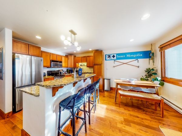Vail Lionshead Home 1022638