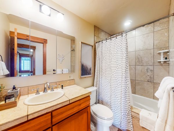Vail Lionshead Home 1022638