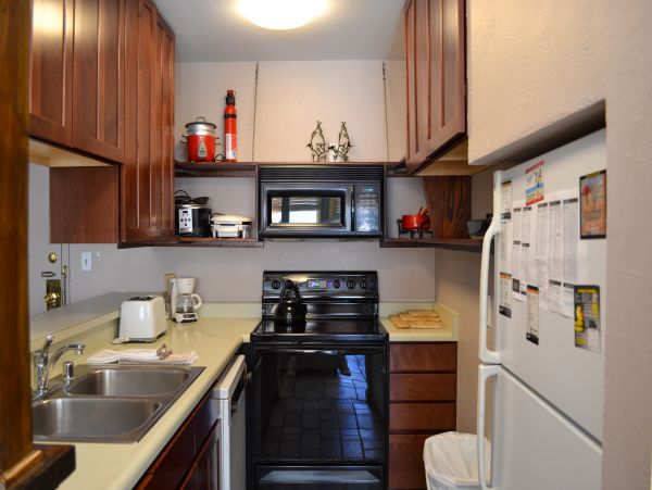 Vail Lionshead Home 1022639