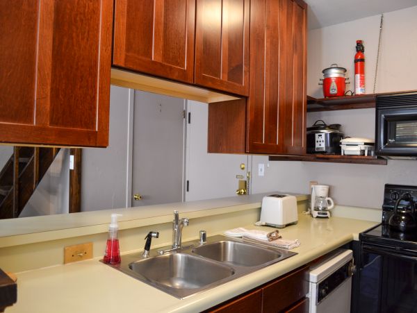 Vail Lionshead Home 1022639