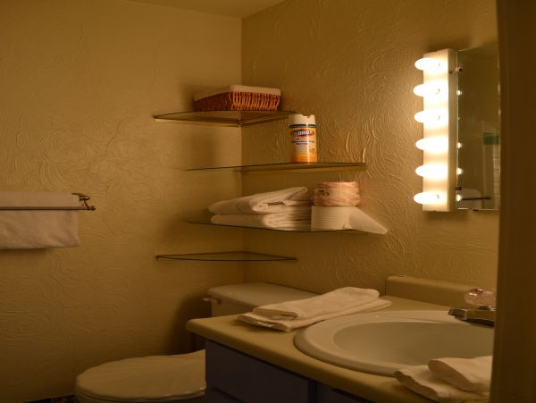 Vail Lionshead Home 1022639