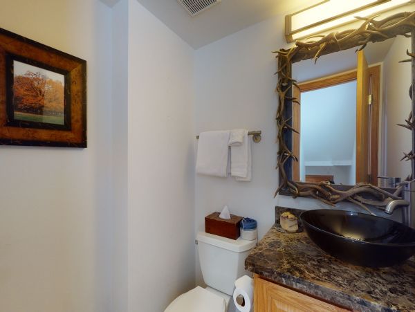 Vail Lionshead Home 1022641