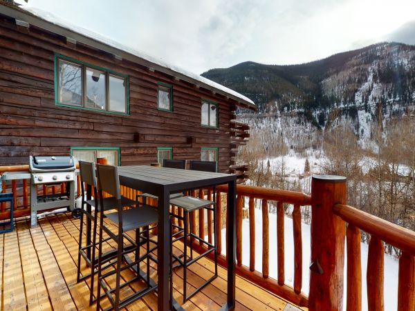 Vail Lionshead Home 1022644