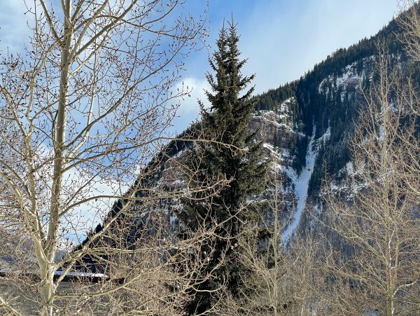 Vail Lionshead Home 1022644