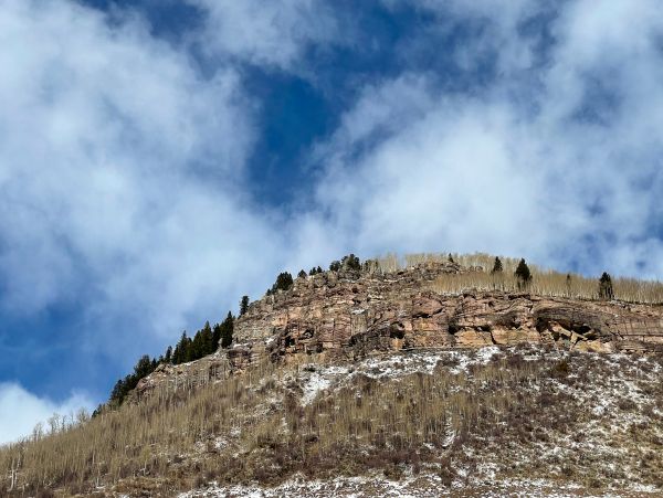 Vail Lionshead Home 1022644