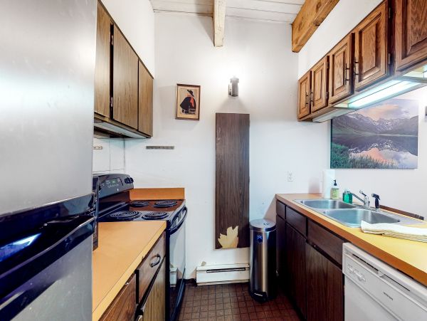 Vail Lionshead Home 1022646