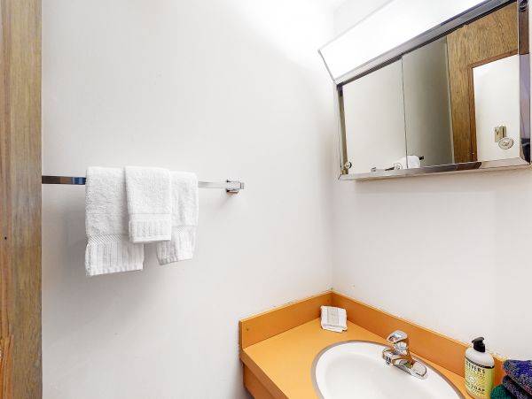Vail Lionshead Home 1022646