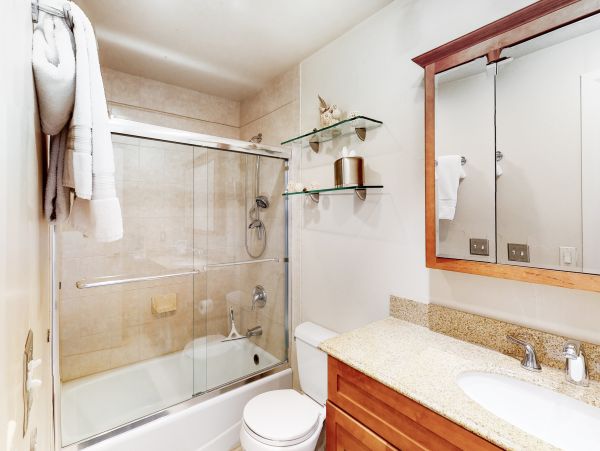 Vail Lionshead Home 1022647