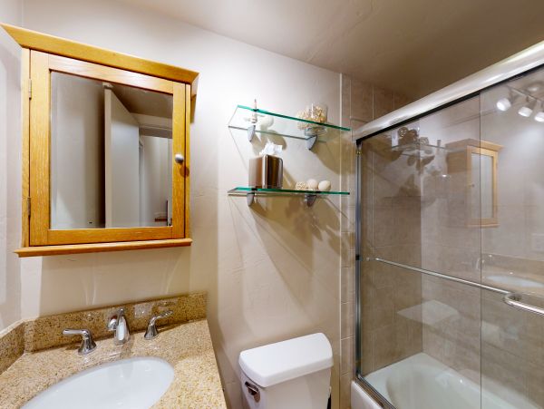 Vail Lionshead Home 1022647