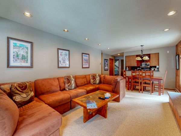 Vail Lionshead Home 1022648