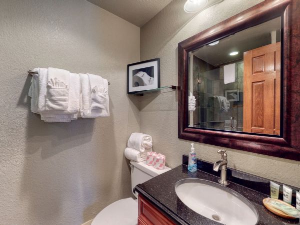 Vail Lionshead Home 1022648
