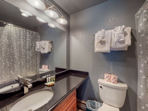 Vail Lionshead Home 1022648