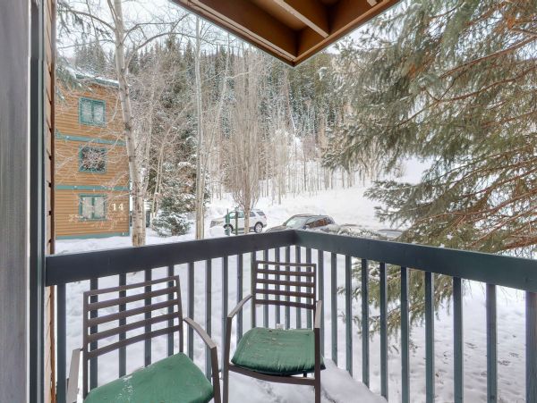 Vail Lionshead Home 1022648