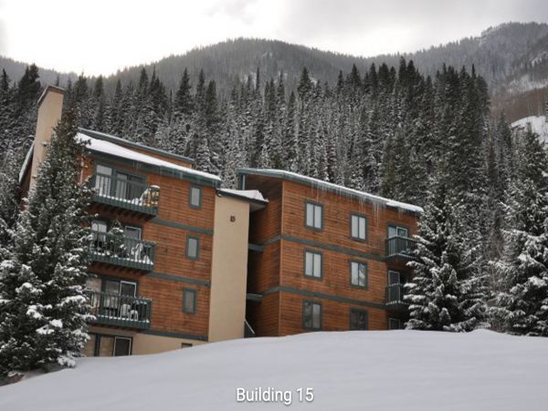Vail Lionshead Home 1022648